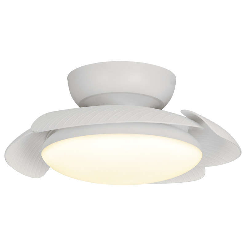 Ventilateur Plafond Aloha Ceiling Fan Ventilatore Soffitto Mantra 8233