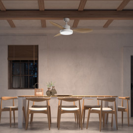 Ventilateur Plafond Riga Ceiling Fan Ventilatore a Soffitto MDC 589638709