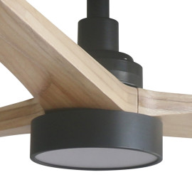 Module LED Taki pour...